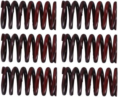 TRW koppelingsveer set clutch spring kit mef317-6