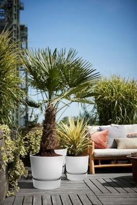 Bloempot Elho Grijs Plastic Cirkelvormig Ø 40 cm Ø 39 x 36,8 cm