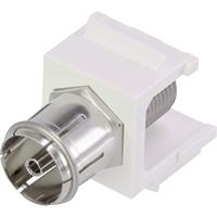 Renkforce RF-KS-FPAL Coax-inbouwmodule Keystone 1 stuk(s) - thumbnail