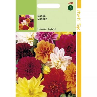 Dahlia Variabilis Unwin S Hybride Gemengd - Hortitops