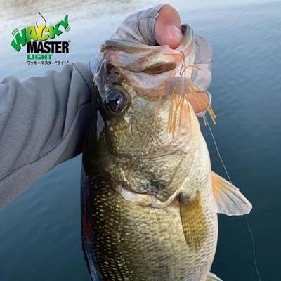 Nogales Wacky Master Light 12st. Size 2