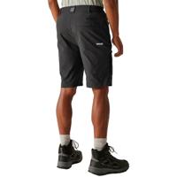 Regatta Highton II Shorts Long - thumbnail