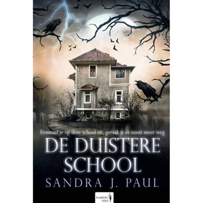 De Duistere School (Hardback)