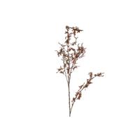 Kunsttak Limonium L oranje 15x20x114cm - thumbnail