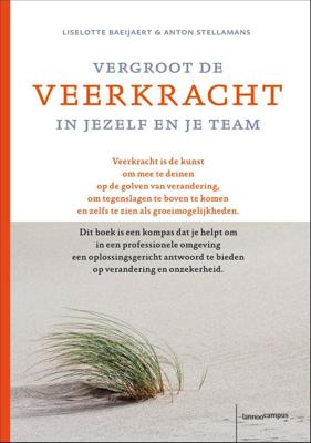 Vergroot de veerkracht in jezelf en je team - Liselotte Baeijaert, Anton Stellemans - ebook