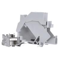 Telegärtner 100023003 Netwerkdoos DIN-rails CAT 6A Lichtgrijs