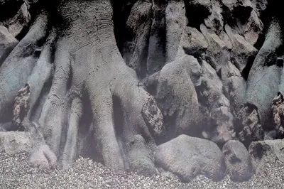 Deco Poster B2 60X49 Cm aquaria Superfish - Superfish