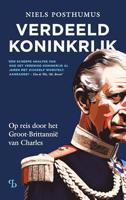 Verdeeld Koninkrijk - Niels Posthumus - ebook - thumbnail