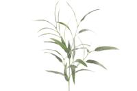 Countryfield viscum album groen 105 cm - thumbnail