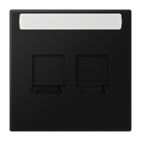 Jung LS990 Grafiet zwart mat inzetplaat voor data RJ45 met tekstkader LS 1969-2 NAWESWM - thumbnail