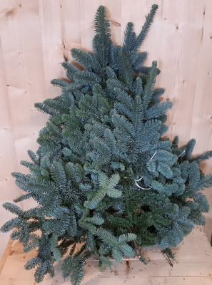 Kerstgroen Nobilis XXL Warentuin Natuurlijk - Warentuin natuurlijk