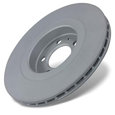 Remschijf Coat Z 100123420