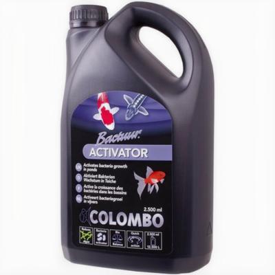 Bactuur Activator 2500 Ml vijver Colombo - Colombo