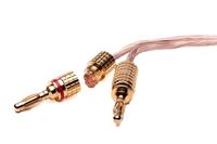 AGS71 Luidsprekerconnector Stekker, recht Aantal polen: 1 Goud 2 stuk(s) - thumbnail