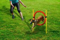 Beeztees agility hoepel set - hondenspeelgoed - dia. 60 cm - thumbnail