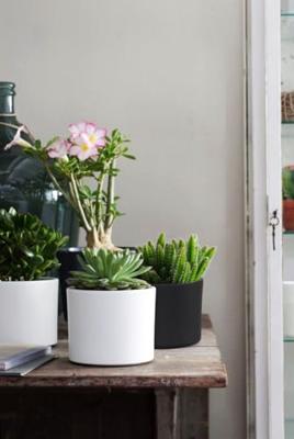 Era pot rond donkergrijs mat h14,5xd17,5 cm Mica Decorations - Mica decorations Era pot rond donkergrijs mat h14,5xd17,5 cm Mica Decorations - Mica decorations