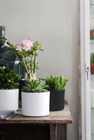 Era pot rond donkergrijs mat h14,5xd17,5 cm Mica Decorations - Mica decorations - thumbnail