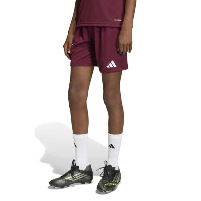 adidas Entrada 26 Voetbalbroekje Kids Donkerrood Wit