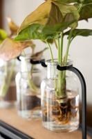 Fiskars Plant Care Stekstation - 1080912 - thumbnail