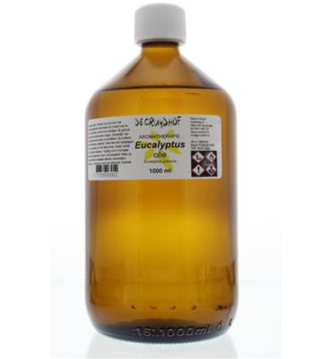Cruydhof Eucalyptus olie 1 Liter