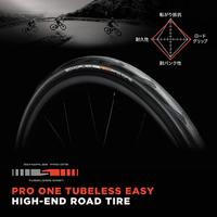 Schwalbe Buitenband pro one tle 28 x 1.10 vouw (28-622) zwart - thumbnail
