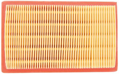 Tecnium Air filter 16756