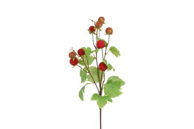 Decostar Countryfield Kunstbes Rubus idaeus rood-L15B15H71CM