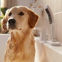 Hansgrohe Dogshower Voor De Hond 3 Standen Met Massagenoppen Mat Wit - Hsg26640700 - thumbnail
