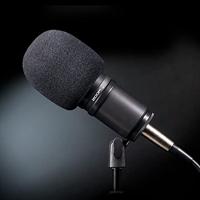 Zoom ZDM-1 dynamische microfoon voor podcasts, broadcasts, recording - thumbnail