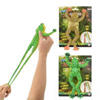 Toi Toys Levensechte kikker op kaart - thumbnail
