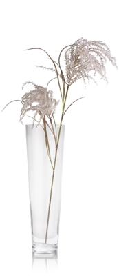 Coco Maison Pampas grass spray