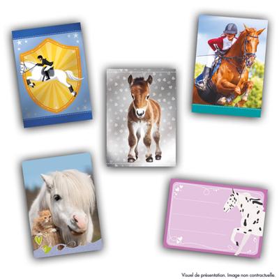 Startpakket - PANINI - Kaartencollectie voor paardenliefhebbers - Bevat 1 map + 2 zakken