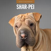 Shar Pei Kalender 2026 - thumbnail
