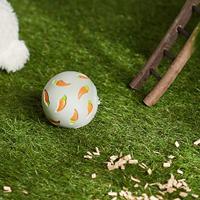 TRIXIE SNACKBAL KNAAGDIER ASSORTI 7X7X7 CM - thumbnail