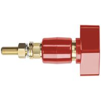 Schützinger Poolklem Rood 200 A 1 stuk(s) - thumbnail