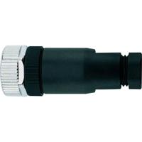 Escha 8004811 Sensor/actuator connector, niet geassembleerd Aantal polen (sensoren): 4 1 stuk(s) - thumbnail