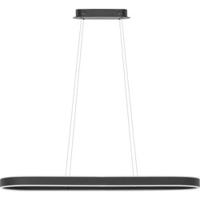 Highlight HanglampEclipse zwart 140cm - H5571.01 - thumbnail