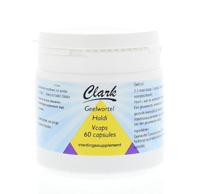 Holisan Haldi/geelwortel 500mg 60 Capsules - thumbnail