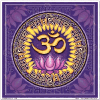 Melkkwarts Chips uit Brazilië in Gerecyclede Kunststof Pot - thumbnail