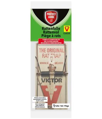 Val ratten hout - Protect