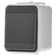 ELSO universele schakelaar 441609 10A AquaTop licht/basisgrijs Meerdere kleuren 1 stuk(s) - thumbnail