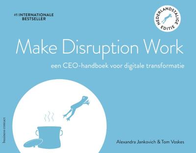 Make Disruption Work (Paperback)