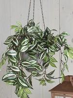Mica Decorations Tradescantia Kunst Hangplant - H45 x Ø25 cm - Groen - thumbnail
