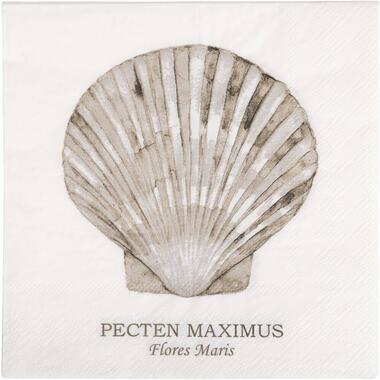 Servetten Schelpen - blauw - 20 stuks