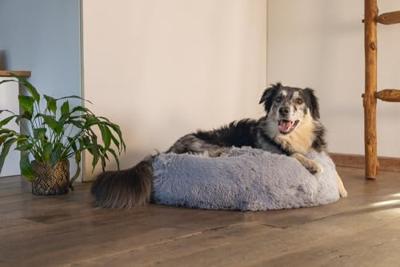 Beeztees Pluche ligmand Yali Lichtgrijs 70cm - thumbnail