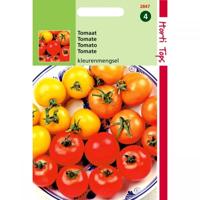 Zaden Tomaten Drie Kleuren Mengsel Hortitops - Hortitops - thumbnail