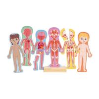 Hape menselijk lichaam magnetische puzzel - 63dlg. - thumbnail