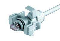 Telegärtner 100023013 RJ45-stekkerset variant 6 Stekker, recht Aantal polen: 8P8C Lichtgrijs 1 stuk(s) - thumbnail