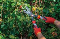 WOLF-Garten Heggenschaar Handmatig - thumbnail