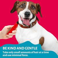 Mikki trimmes fijne vacht - thumbnail